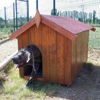 Immagine di Cuccia per cani misure mt.0,70x1,10 h.0,75 con pavimento art.NC0711.01